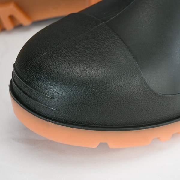 BPP3099_4